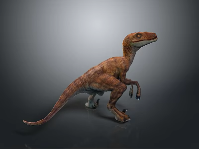 Realistic Brown Dinosaur With Standing Pose Sharp Claws And Long Tail 3d model