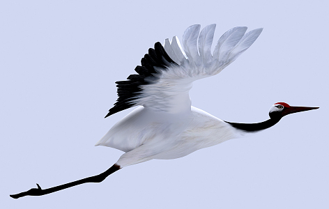 modern animal crane 3d model