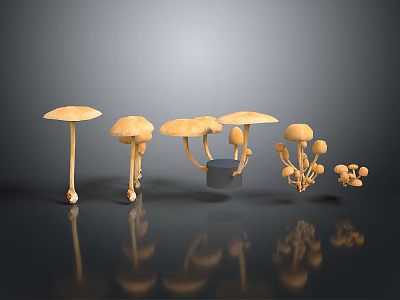 Yellow Mushrooms In Various Shapes Arranged On Dark Reflective Surface 3d model