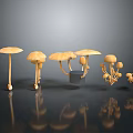 Yellow Mushrooms In Various Shapes Arranged On Dark Reflective Surface