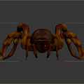 Copper Colored Spider With Eight Legs Shiny Appearance Dark Background Reflections