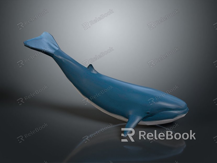 whale cartoon whale mammal marine mammal marine animal fish freshwater fish marine fish model