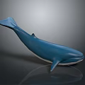 Realistic Blue Whale Model Displayed On Gray Background With Shiny Reflection 3d model