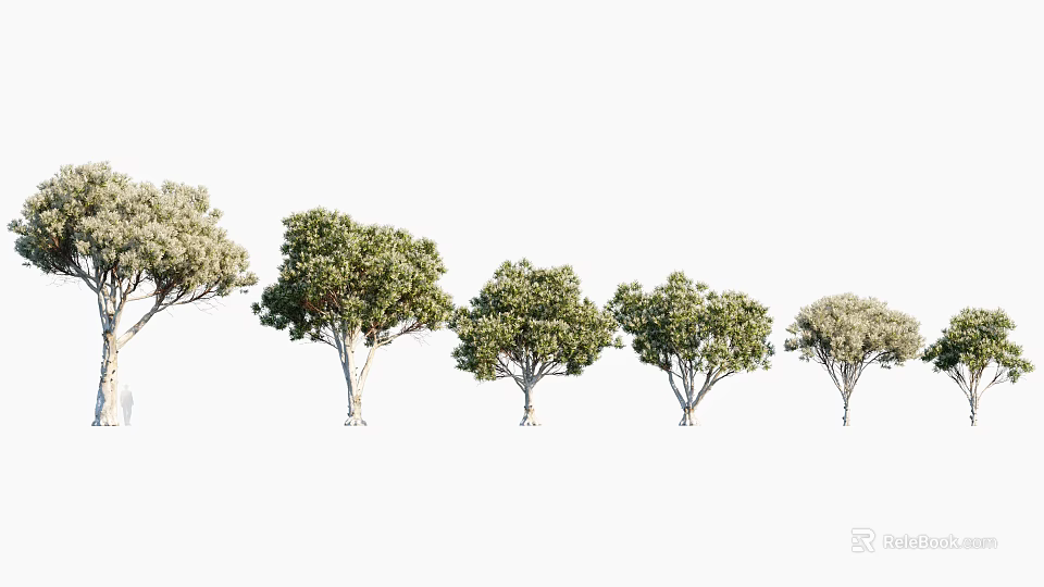 Various Arbor Trees With Different Shapes Sizes And Lush Green Foliage 3d model