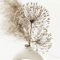 White Ceramic Round Hollow Vase With Dried Pampas Grass And Dandelion Blooms On White Surface