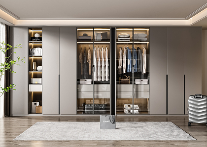 Modern wardrobe combination 3d model