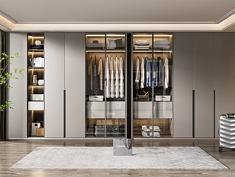 Modern wardrobe combination 3d model