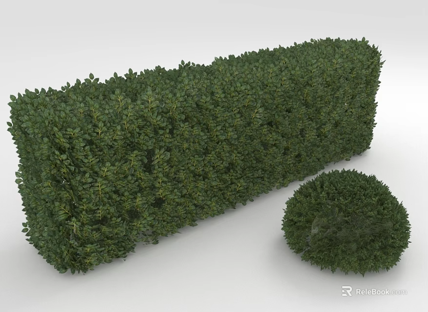 Well Trimmed Green Hedge and Round Shrub Plant in Garden Setting 3d model 