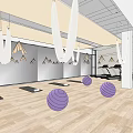 Modern Gym Fitness Area With Purple Exercise Balls Treadmills Yoga Mats Hanging Hammocks And Mirrors