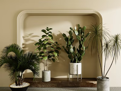 Bonsai Potted Plants Indoor Display With Arched Frame And Various Green Foliage 3d model