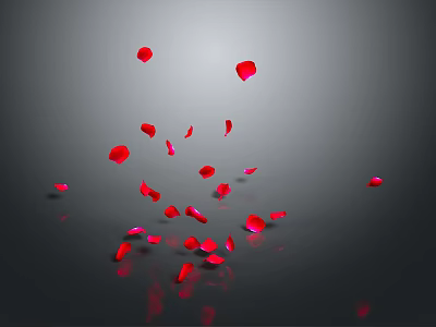 Soft Red Rose Petals Falling Gently On Black Background With Clear Reflections 3d model