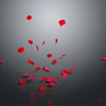 Soft Red Rose Petals Falling Gently On Black Background With Clear Reflections 3d model