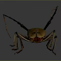 Longhorn Beetle With Long Antennae Long Legs Yellow Black Body On Gray Background With Reflection