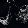 spider web spider web spider 3d model