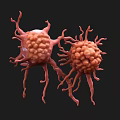 Red Biological Cells With Projections In 3D Rendering On Black Background 3d model