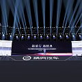 Grand Stage Setup For Ceremony With Lighting Effects 3d model