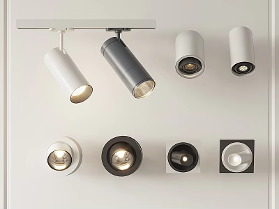 Modern Downlights and Spotlights Track Mounted White Gray Round Square Fixtures for Home Lighting 3d model