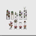 Bonsai and Potted Plants Displayed on Various Stylish Plant Stands with Green Plants and Colorful Flowers