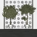 Bonsai Trees In White Pots With Black Metal Stands Against White Wall With Curved Patterns