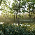 Scenic Lake View With Sunlight Through Trees Mountain Backdrop And Calm Water Reflections