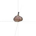 Fresh Garlic Bulb Vegetable with Purple White Striped Skin Isolated on White Background