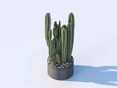 Green Cactus Bonsai Potted Plant In Gray Pot With Small Pebbles 3d model