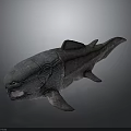 Ancient Fish With Rough Skin And Primitive Body Structure In Realistic Model