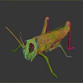 3D Rendered Green Grasshopper With Red Legs And Large Eyes On Gray Background