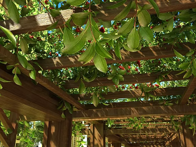 Lush Vine Covered Wooden Pergola With Green Leaves And Berries 3d model