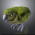 Vibrant Green Parrot with Colorful Feathers Red Eyes and Grey Claws Standing On Black Surface