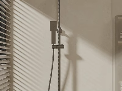 Modern Bathroom Shower Head with Handheld Sprayer and Sleek Metal Finish in Natural Light 3d model