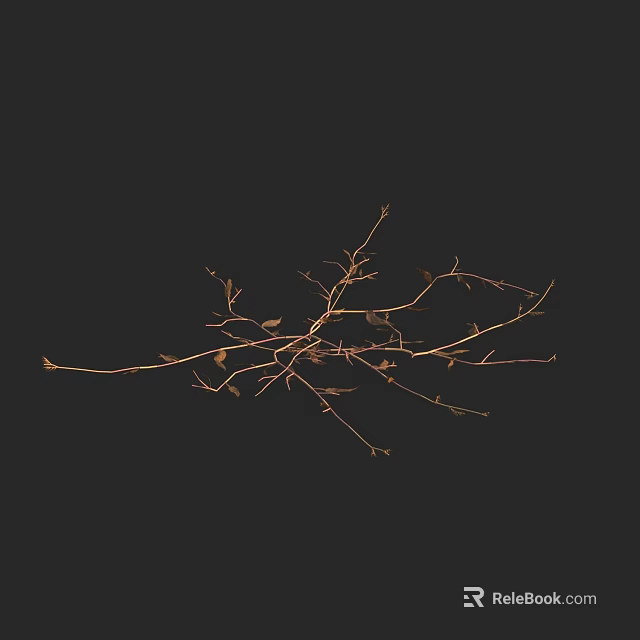 Delicate Dried Plant Branches With Small Leaves On Black Background 3d model