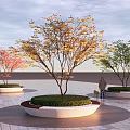 Circular Tree Planter with Colorful Leaf Trees in Urban Paving Area with Person and Dog