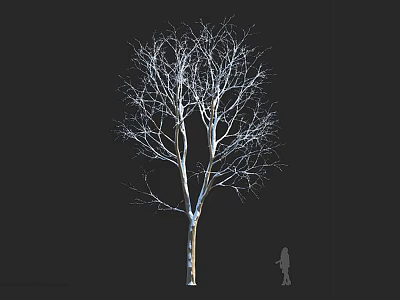 Tall Leafless Arbor Tree With Bare Branches And Human Silhouette On Black Background 3d model