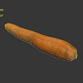 Fresh Orange Carrot as Healthy Crunchy Root Vegetable on Dark Background 3d model