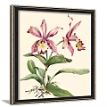 Two Framed Botanical Paintings Featuring White Pink Orchids Green Leaves Roots on Gray Wall