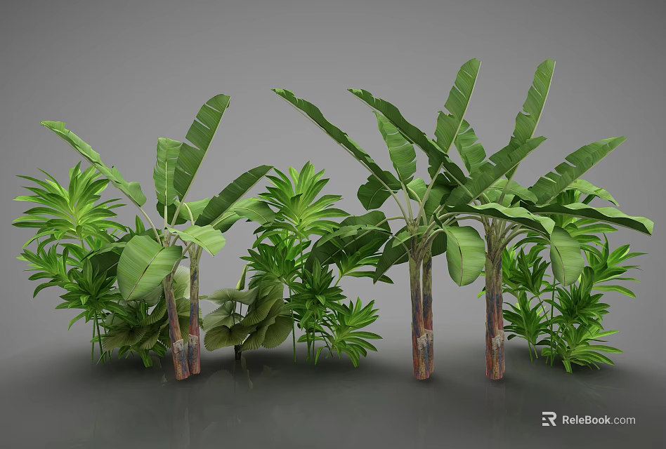 Tropical Banana Plants With Lush Green Foliage And Vibrant Leaves 3d model 