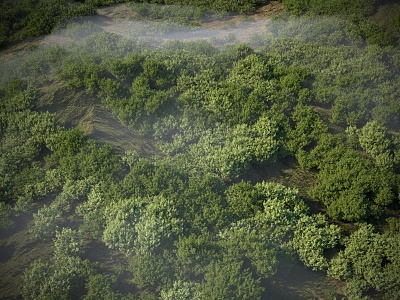 Modern mountain forest bird's-eye view mountain forest bird's-eye view bird's-eye view 3d model