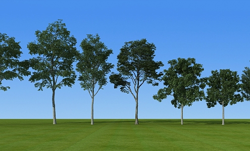 Modern tree sketch garden landscape community shrubs 3d model