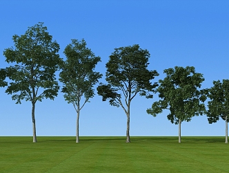 Modern tree sketch garden landscape community shrubs 3d model