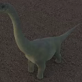 Large Green Reptile Dinosaur With Long Neck Standing On Dirt Ground