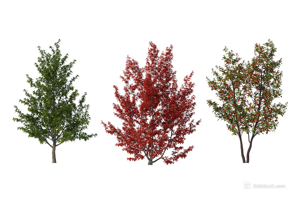 Arbor Trees With Green Red Leaves And Colorful Fruit 3d model 