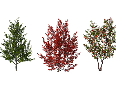 Arbor Trees With Green Red Leaves And Colorful Fruit 3d model