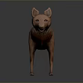 3D Wolf Character With Brown Fur Standing Pose On Neutral Gray Background 3d model