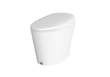 Ceramic toilet 3d model