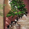 Indoor Decorative Potted Plants With White Ceramic And Metallic Containers In Bright Interior