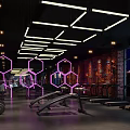 Modern Fitness Gym Interior With Hexagon Pink Lighting And Workout Equipment