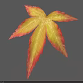Vibrant Yellow And Red Leaf On Blue Background With Shadow 3d model