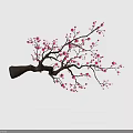 Pink Plum Blossom Shaped Pastry With Delicate Sweet Flavor And Gray Background