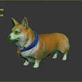 Orange And White Corgi Dog With Blue Collar And Bell Standing On Gray Background